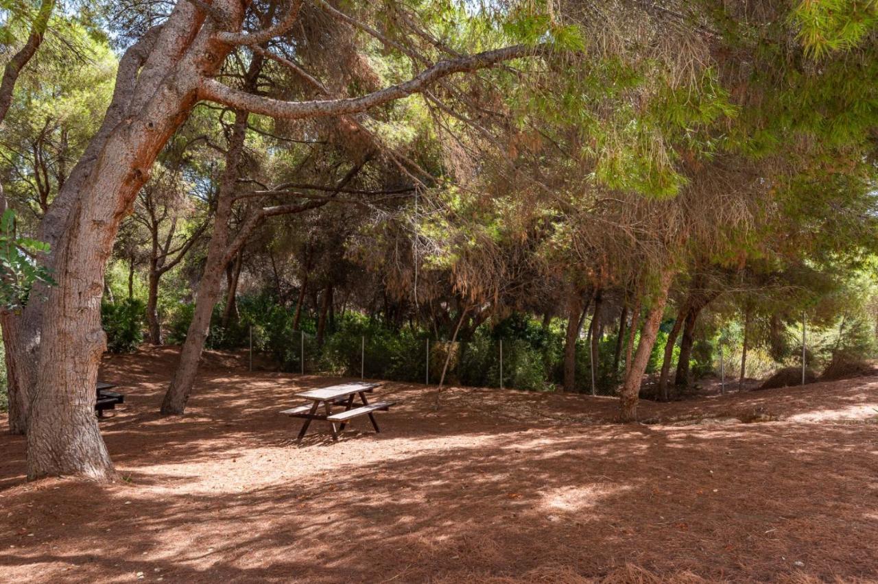 Apartament Summer Lägenhet Campoamor Exteriör bild